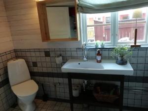 łazienka z umywalką, toaletą i oknem w obiekcie Ynde Private Apartment w mieście Sölvesborg