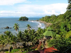 a view of a beach with palm trees and the ocean at Casa Colibrí in Nuquí