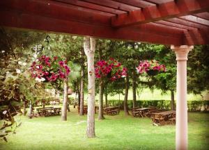 Zahrada ubytování Vila Davidovic-Fruska gora