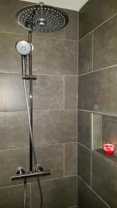 a shower with a shower head in a bathroom at Amelander Kaap 101 in Hollum
