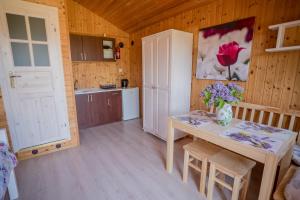 Kuchyňa alebo kuchynka v ubytovaní Domek Skowronek