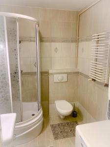 a bathroom with a shower and a toilet and a sink at Apartament Bielik in Mrągowo
