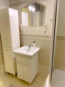 a bathroom with a sink and a shower and a mirror at Apartament Bielik in Mrągowo
