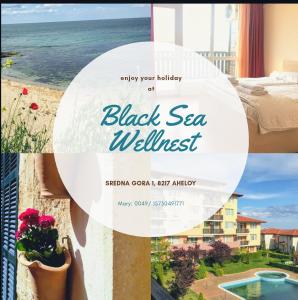 a collage of photos of a black sea villas at Black Sea Wellnest in Aheloy