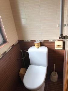 a white toilet in a bathroom with brown tiles at Rukavichka in Pilipets