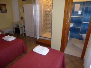 Zimmer mit 2 Betten, einer Dusche und einem Bad in der Unterkunft Hotel Alexander in Tropea