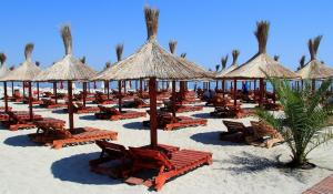 a beach with chairs and umbrellas and palm trees at SeaSide Piano Bar Apartament in Mamaia