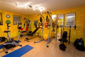 Fitness centrum a/nebo fitness zařízení v ubytování Landhaus Gastein