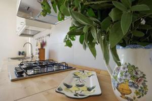 una cocina con una planta en un jarrón sobre una mesa en Zibi&Bibbo en Marsala