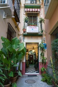 uma entrada para um edifício com plantas e uma placa em Pensión San Benito Abad em Sevilha