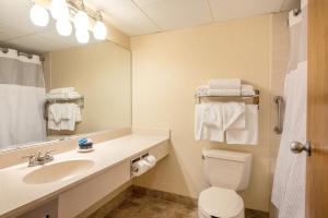 Ein Badezimmer in der Unterkunft Lodge of the Ozarks