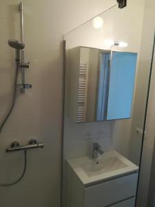 a bathroom with a sink and a mirror at appartement oostende vlak aan zee in Ostend