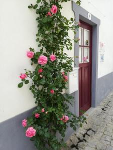 阿爾梅達的住宿－Casa do Ti Messias，有一束粉红色的玫瑰在一扇门旁边的墙上长着
