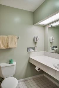 a bathroom with a toilet and a sink and a mirror at Boxwood Lodge Blowing Rock near Boone-University in Blowing Rock