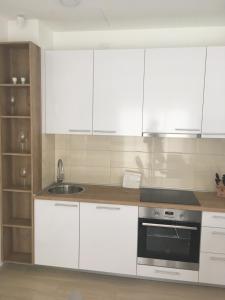 Kuchyň nebo kuchyňský kout v ubytování Luxury Apartments Vučinić Pirovac