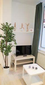 TV a/nebo společenská místnost v ubytování La Casa de Cayetana AT-47-44