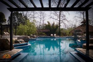 Bazén v ubytování Siddhartha Wildlife Retreat nebo v jeho okolí
