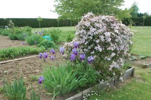 Ein Garten an der Unterkunft Gite Les Coquelicots