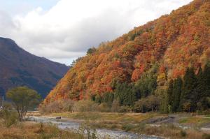a mountain with colorful trees and a river at KKR Yuzawa Yukiguni in Yuzawa