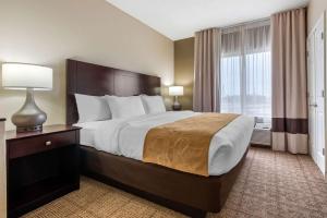 Gallery image of Comfort Suites Lafayette University Area in Lafayette