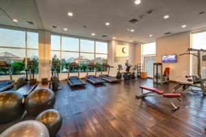 Fitnes oz. oprema za telovadbo v nastanitvi Premier Inn Dubai Ibn Battuta Mall