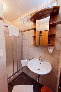 un bagno con lavandino e doccia di Gasthof Koglerhof a Ternberg