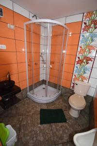 uma casa de banho com um chuveiro e um WC. em Hospedaje el viajero-Aeropuerto em Lima