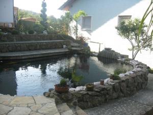 a pond in a yard next to a house at Ferienwohnung Schönblick in Waldmünchen