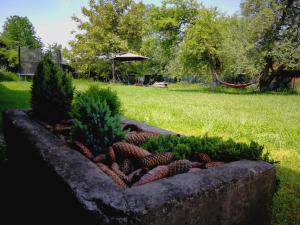 
a garden with plants and a bench in the middle of it at Pensiunea Balea Sat in Cîrţişoara
