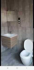 a bathroom with a white toilet and a sink at Appartement Studio Tournai in Tournai