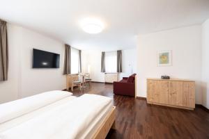 TV a/nebo společenská místnost v ubytování Hotel Masatsch