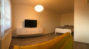 a living room with a couch and a tv at apartmán Poděbradka in Plzeň