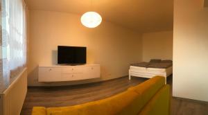 TV a/nebo společenská místnost v ubytování apartmán Poděbradka + 19 fotografií