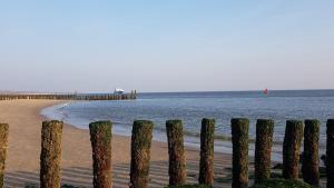 a row of wooden posts on a beach next to the ocean at Minicamping De Visser in Zoutelande