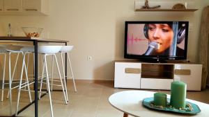 TV a/nebo společenská místnost v ubytování CELENI APARTMENTS