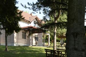 Giardino di Vila Davidovic-Fruska gora