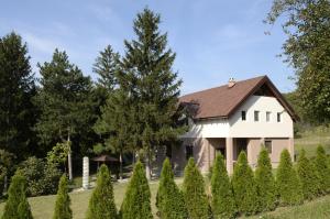 una casa in un campo alberato di Vila Davidovic-Fruska gora a Manđelos
