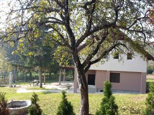 Giardino di Vila Davidovic-Fruska gora