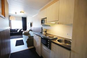 Kuchyň nebo kuchyňský kout v ubytování Hotel Hullu Poro