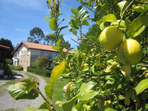 Fotografie z fotogalerie ubytování Infincavacations Chalet y Apartamentos v destinaci San Bartolomé de Meruelo