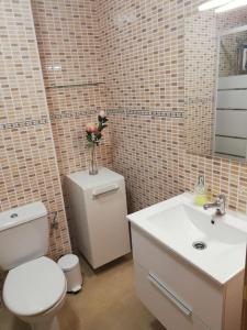 łazienka z białą toaletą i umywalką w obiekcie Casa Carminuca w mieście Ayuela