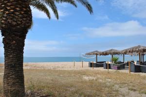 una spiaggia con tavoli, ombrelloni di paglia e una palma di Casa Maris a Torre Grande