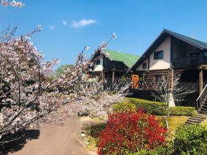 Foto dalla galleria di Fiore Shima a Shima