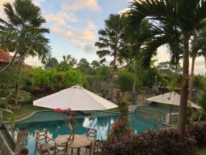 烏布的住宿－巴厘島貝圖圖別墅旅館，一个带椅子和遮阳伞的游泳池,并种植了棕榈树