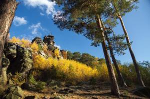 a view of a mountain with trees and grass at Hotel Villa Viktoria Luise in Blankenburg