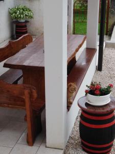 Fotografie z fotogalerie ubytování Holiday Home Magdalena v destinaci Pićan