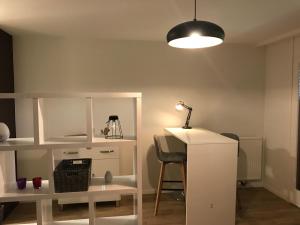 Kuchyň nebo kuchyňský kout v ubytování Large Studio Near Epfl And Lausanne City Center