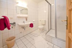 a bathroom with a toilet and a sink and a shower at Hotel Garni Am Klostermarkt in Plauen