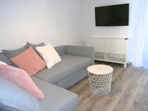 Televízia a/alebo spoločenská miestnosť v ubytovaní Apartments Ines