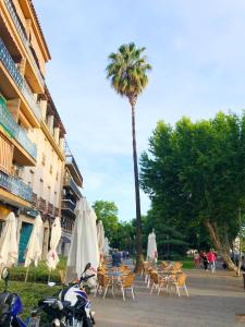 a group of tables and chairs and a palm tree at Paseo de La Victoria in Córdoba